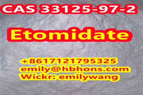 Obrázek - purchase find buy CAS 33125-97-2 For sale  Etomidate 