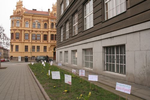 Obrázek - Na Masarykově náměstí protestují květiny proti psím výkalům na chodnících a ve veřejné zeleni 