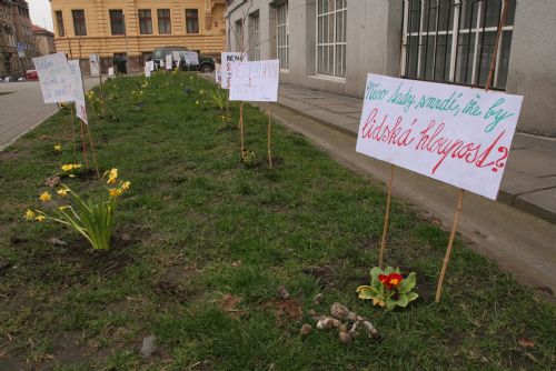 Foto: Na Masarykově náměstí protestují květiny proti psím výkalům na chodnících a ve veřejné zeleni 