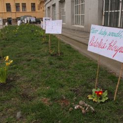 Na Masarykově náměstí protestují květiny proti psím výkalům na chodnících a ve veřejné zeleni 