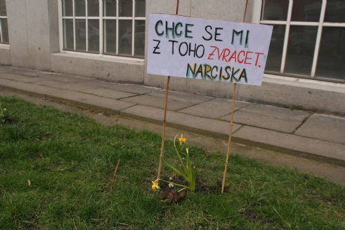 Obrázek - Na Masarykově náměstí protestují květiny proti psím výkalům na chodnících a ve veřejné zeleni 