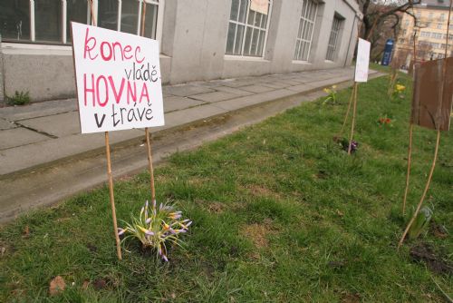 Obrázek - Na Masarykově náměstí protestují květiny proti psím výkalům na chodnících a ve veřejné zeleni 