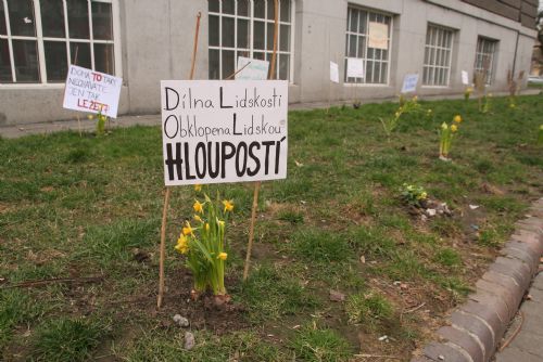 Obrázek - Na Masarykově náměstí protestují květiny proti psím výkalům na chodnících a ve veřejné zeleni 