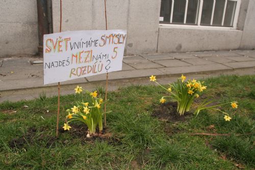 Obrázek - Na Masarykově náměstí protestují květiny proti psím výkalům na chodnících a ve veřejné zeleni 