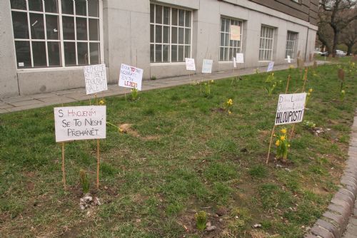 Obrázek - Na Masarykově náměstí protestují květiny proti psím výkalům na chodnících a ve veřejné zeleni 