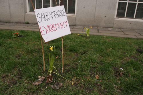 Obrázek - Na Masarykově náměstí protestují květiny proti psím výkalům na chodnících a ve veřejné zeleni 