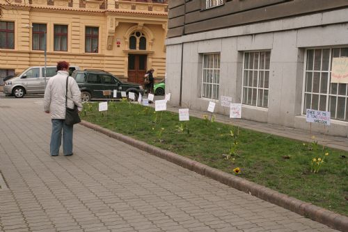 Obrázek - Na Masarykově náměstí protestují květiny proti psím výkalům na chodnících a ve veřejné zeleni 