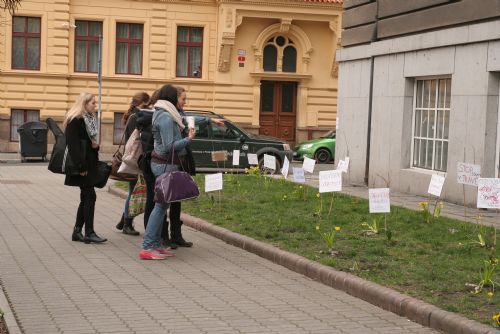 Obrázek - Na Masarykově náměstí protestují květiny proti psím výkalům na chodnících a ve veřejné zeleni 
