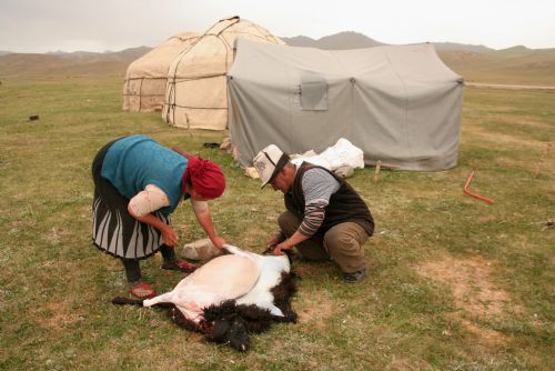 Obrázek - Vydejte se z Nečtin přímo do Kyrgyzstánu během cestopisné přednášky o zemi nomádů, jezer a hor