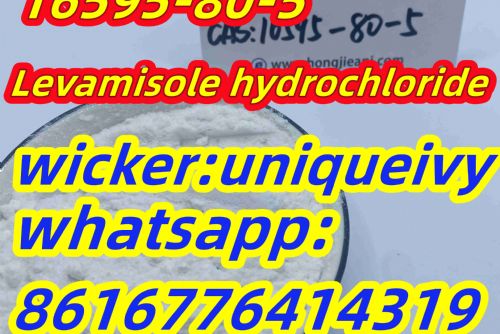 Obrázek - Levamisole (hydrochloride) Cas 16595-80-5 14769-73-4 with 100% Pass