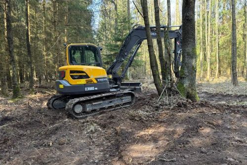 obrázek:Brdy vracejí vodu do lesa. U Trokavce zasypávají staré odvodňovací kanály