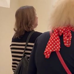 Cizinka podmíněně odsouzena za ubití psa