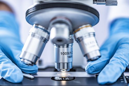 Foto: DNA odhalilo násilníka z Plzně po 11 letech