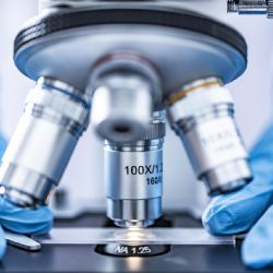 DNA odhalilo násilníka z Plzně po 11 letech