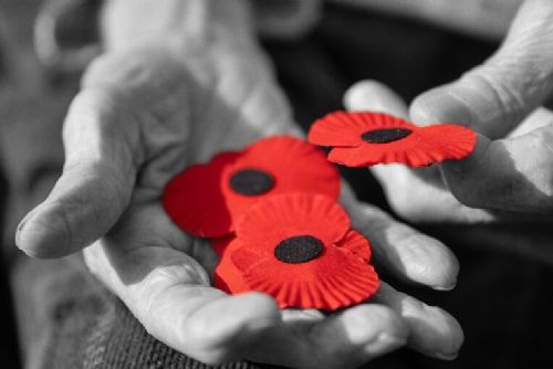 obrázek:Evropská aliance univerzit EUPeace nabízí nový model spolupráce