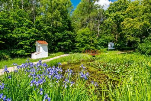 obrázek:Lesy v Brdech ožily barvami. Nastalo krátké a kouzelné období jarních květů