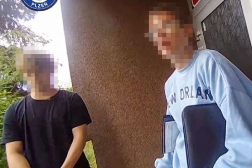 obrázek:Obcházeli byty a chtěli kontrolovat okna. Strážníci v Plzni zasáhli kvůli podomnímu prodeji