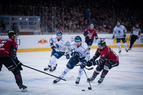 obrázek:Plzeň padla na Spartě, série jde do rozhodujícího zápasu