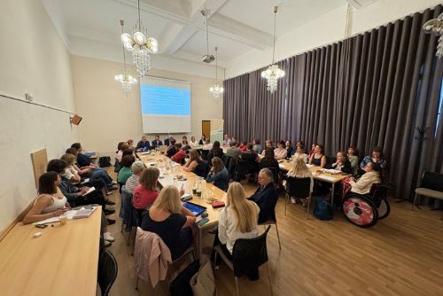 obrázek:Plzeň připravuje sociální služby na rok 2027. Do plánování se zapojilo téměř 200 lidí