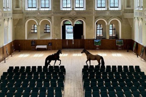 obrázek:Romeo a Julie uzavřou festival ve Světcích. Jízdárnu ovládne divadlo, hudba i šerm