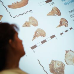 Setkání mladých archeologů a antropologů z Česka a Polska v Plzni