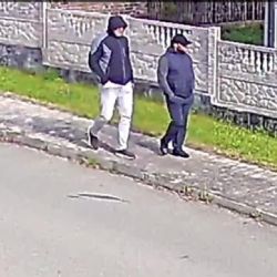 V Třemošné ukradli šperky za 56 tisíc, policie hledá svědky