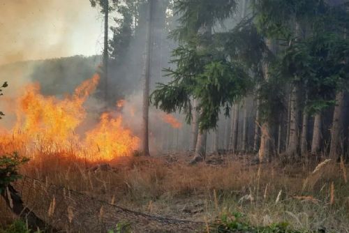 obrázek:Vedro a sucho zvyšují na Šumavě riziko požárů. Platí přísná pravidla pro oheň i kouření