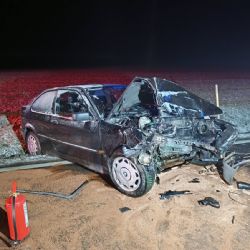 BMW na Tachovsku dostalo smyk a narazilo do stromu. Řidič měl velké štěstí