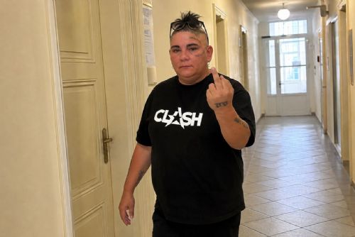 obrázek:Bouřlivý soud s nebinárním Michalem Maxou nekončí. Další jednání čeká na psychiatrický posudek