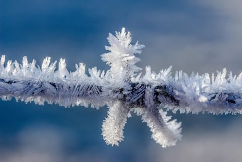 Foto: Dnes padly rekordní mrazy na Šumavě, Kvilda překonala historické minimum