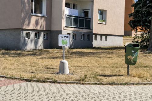 obrázek:Dobřany zkoušejí první psí pisoár. Má ochránit domy, lampy i okolní zeleň
