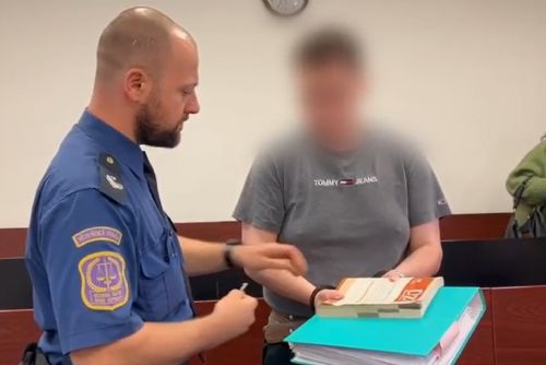 obrázek:Mladík odsouzen za brutální zneužívání dívek