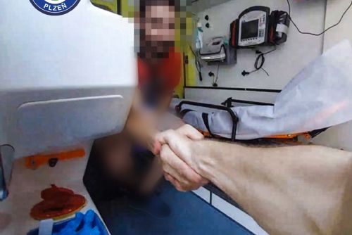 obrázek:Muž v Plzni mluvil o sebevraždě. Díky pohotové příbuzné ho policisté našli včas