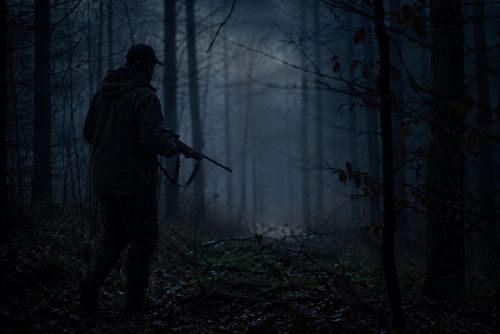 obrázek:Myslivec na Tachovsku mířil na lišku, postřelil hledače kovů. Teď je obviněný