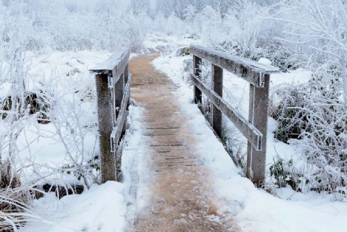 obrázek:Na Šumavě trvají extrémní mrazy až -30 °C, horská služba varuje turisty