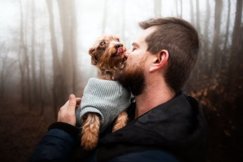 obrázek:Nevidomý Brex hledá nový domov po zásahu ve Starém Sedlišti