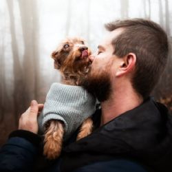 Nevidomý Brex hledá nový domov po zásahu ve Starém Sedlišti