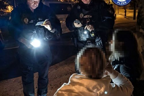 obrázek:Noční akce Centrum pokračuje. V Plzni padaly pokuty za alkohol i nepořádek