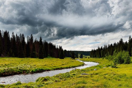 Foto: Novela ohrožuje světové uznání NP Šumava