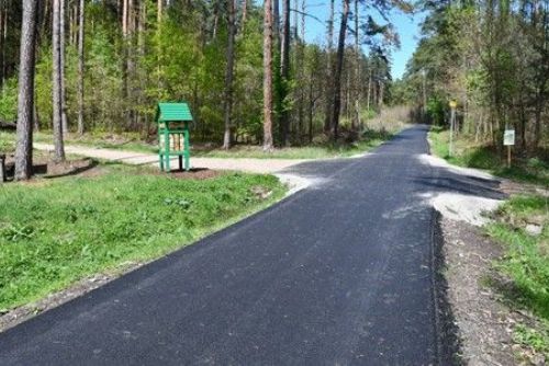Foto: Plzeň investuje 12 milionů do oprav lesních cest