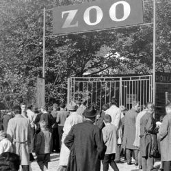 ZOO slaví 100 let, příběh party nadšenců až po světový biopark