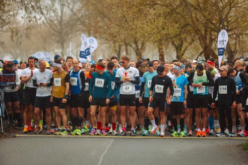 obrázek:Plzeňský půlmaraton praskal ve švech. Na trať vyrazilo přes 2 300 běžců, padaly rekordy