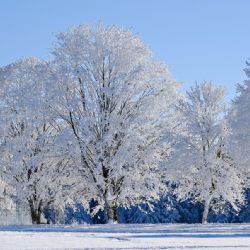 Rokytská slať na Šumavě naměřila -28,3 °C, jak bude o víkendu?