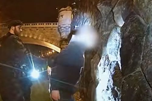 obrázek:Strážníci v Plzni zasahovali u silně intoxikovaného mladíka. Začal křičet a dusit se (video)