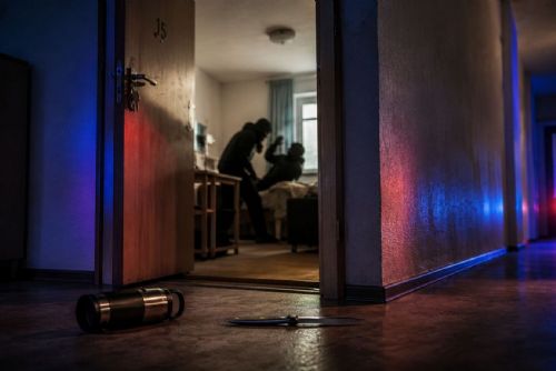 obrázek:Ukrajinští partneři brutálně napadli muže v plzeňské ubytovně. Tresty 11 a 10 let platí