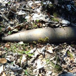 V Nýrsku našel muž 53mm granát, přivolal policii a pyrotechnik ho odvezl