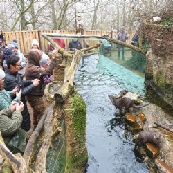 Vydří sourozenci jsou Matylda a Klotylda - hvězdy plzeňské expozice
