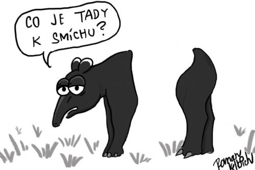 Obrázek - Klub kreslířů a humoristů má i plzeňské zastoupení
