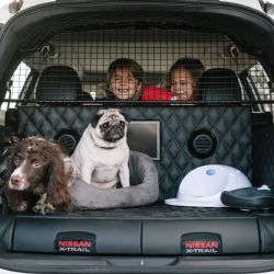 Nissan X-Trail 4Dogs: dokonalý vůz pro rodinné výlety se psím miláčkem