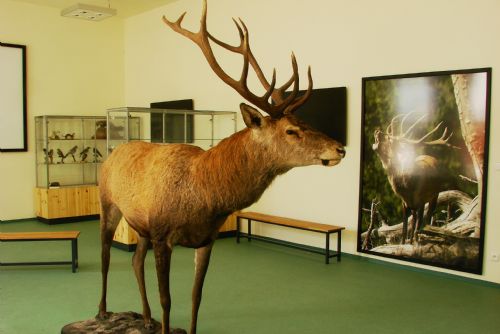 Foto: Budování Environmentálního centra v Železné Rudě je u konce. Expozice se budou nadále rozvíjet 